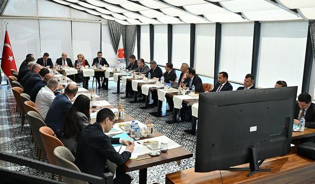 Türkiye-Ermenistan Ortak Çalışma Grubu toplandı