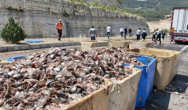 Seyir halindeki tırın dorsesi patladı, 15 ton balık atığı yola saçıldı