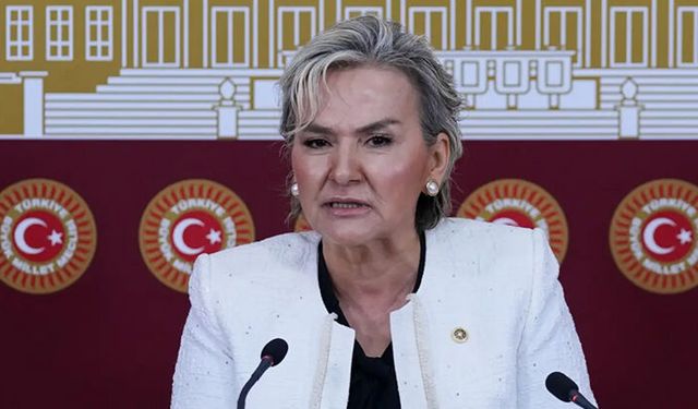 CHP İstanbul Milletvekili Nimet Özdemir partisinden istifa etti