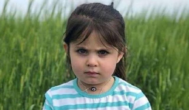 Leyla Aydemir davasında annenin beyanları dikkat çekti! Gözler yarınki duruşmada