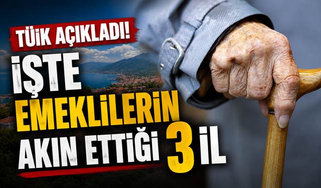 TÜİK açıkladı! İşte emeklilerin akın ettiği 3 il