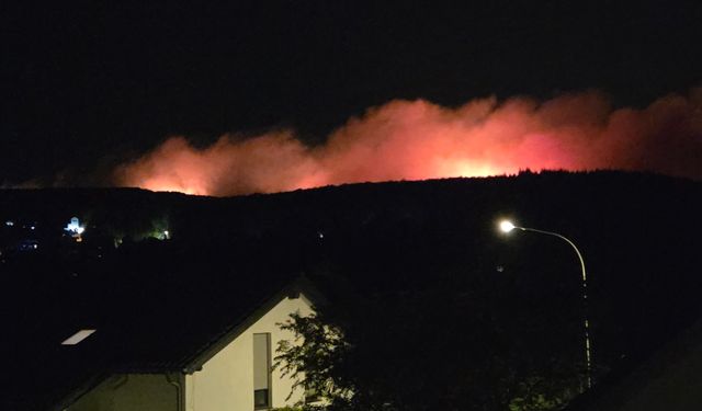 Almanya'da orman yangını: Bin 800 kişiye tahliye emri