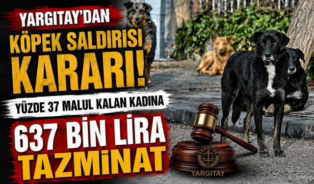 Yargıtay'dan köpek saldırısı kararı! Yüzde 37 malul kalan kadına 637 bin lira tazminat