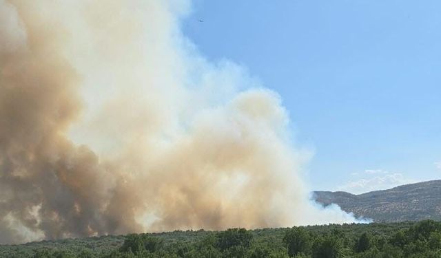 Diyarbakır’da ormanlık alanda yangın