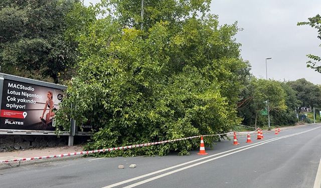 İstanbul’u sağanak vurdu! Megakentte ağaçlar devrildi, rögarlar taştı