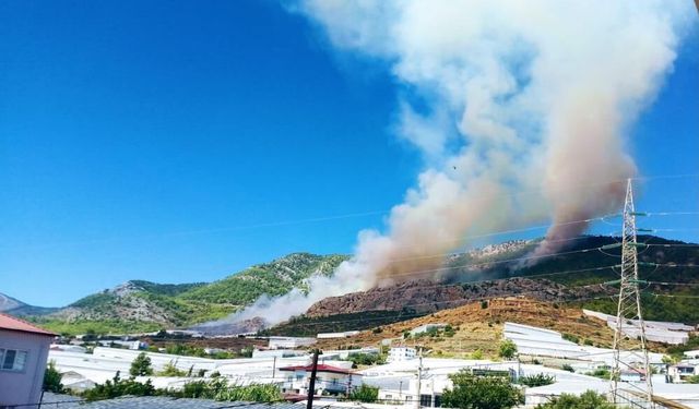 Mersin'de orman yangını! Alevler rüzgarın etkisiyle yayılıyor