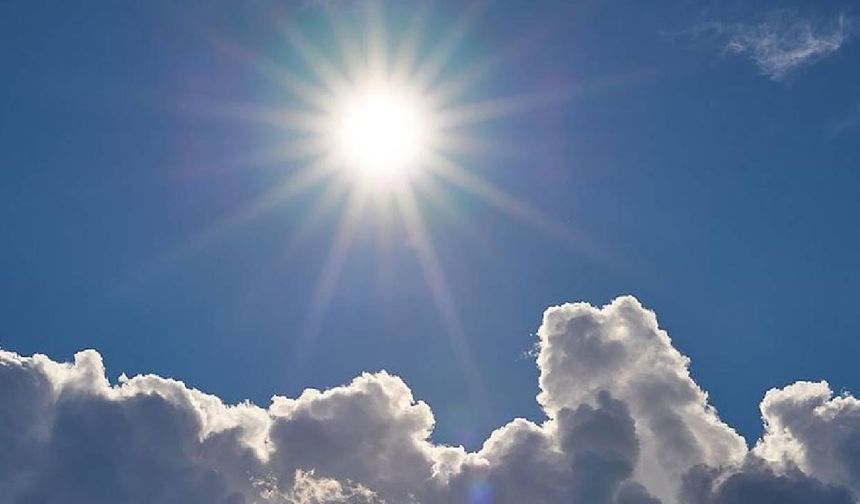 Yüksek sıcaklıklar tarım ve çevreyi olumsuz etkiliyor