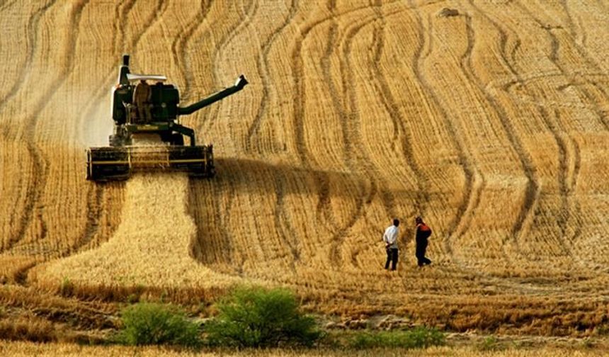 12,8 milyar liralık tarımsal destekleme ödemesi bugün yapılacak