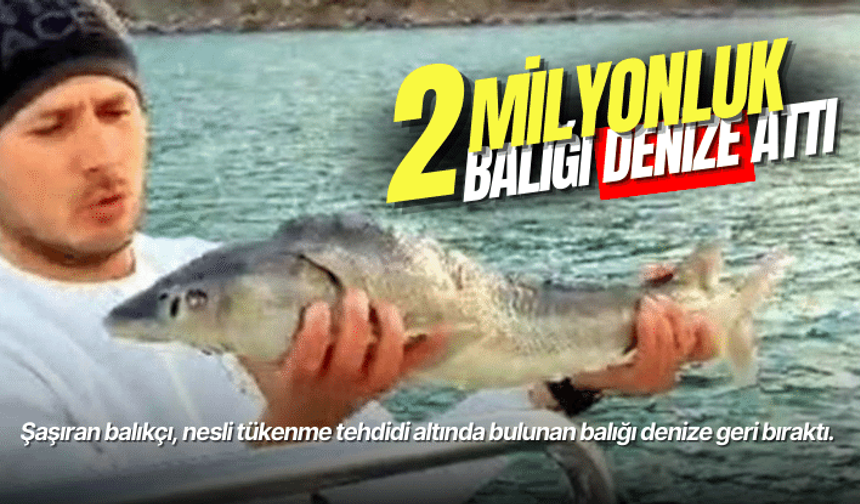 Havyarı 2 milyon TL'lik balığı denize bıraktı 
