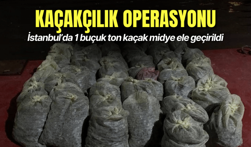 İstanbul’da 1 buçuk ton kaçak midye ele geçirildi