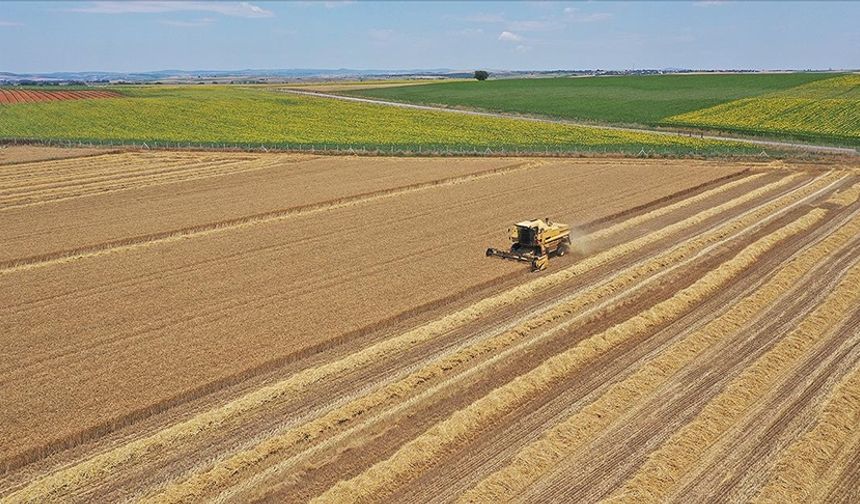 Tarımsal girdi fiyat endeksi Aralık 2024'te yıllık bazda yüzde 32,49 arttı