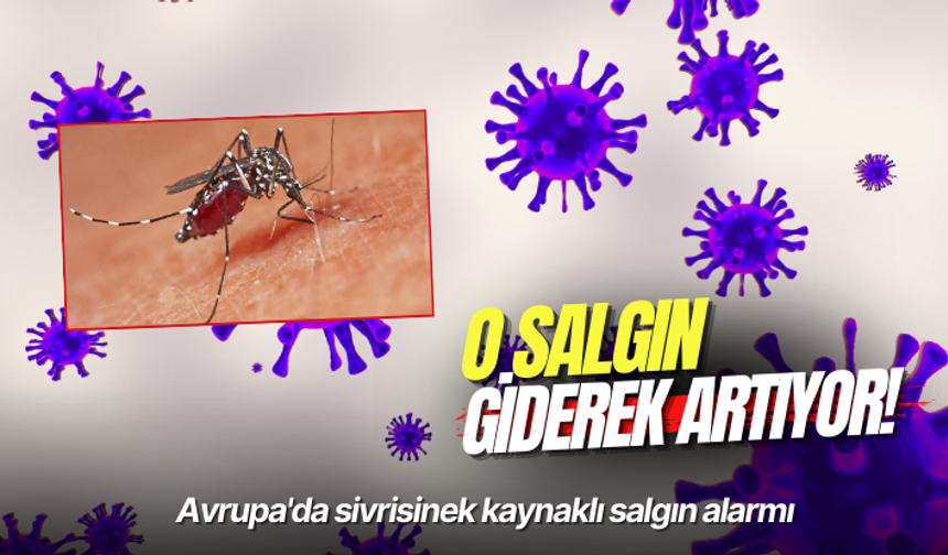Avrupa'da sivrisinek kaynaklı salgın alarmı