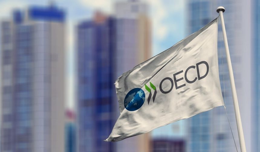 “Enflasyonun düşmesini bekliyoruz”: OECD Başekonomisti, Türkiye ve dünyadaki ekonomik görünümü değerlendirdi