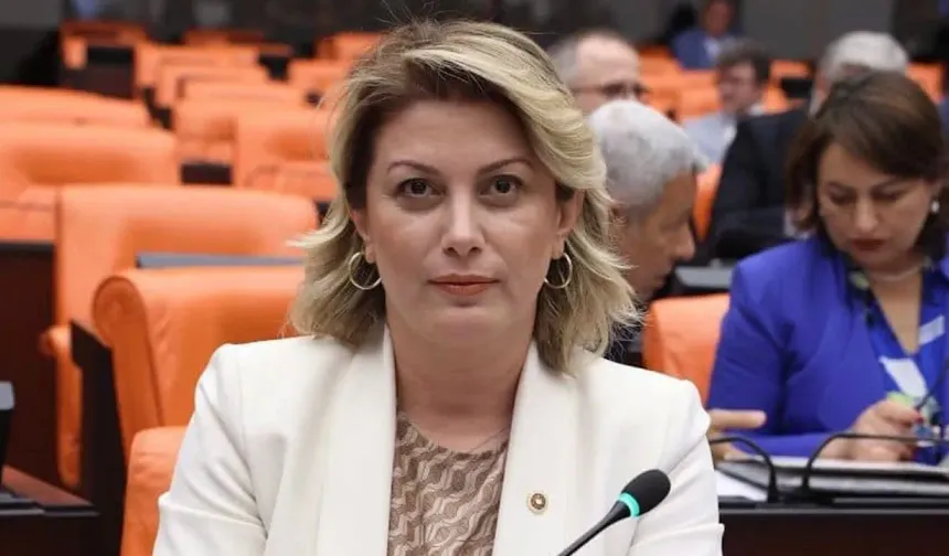 CHP Kadın Kolları Başkanı Asu Kaya görevden alındı