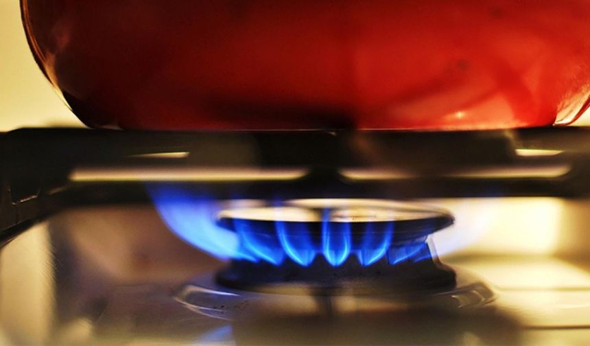 Türkiye'de sisteme giren doğal gaz yüzde 9,5 arttı