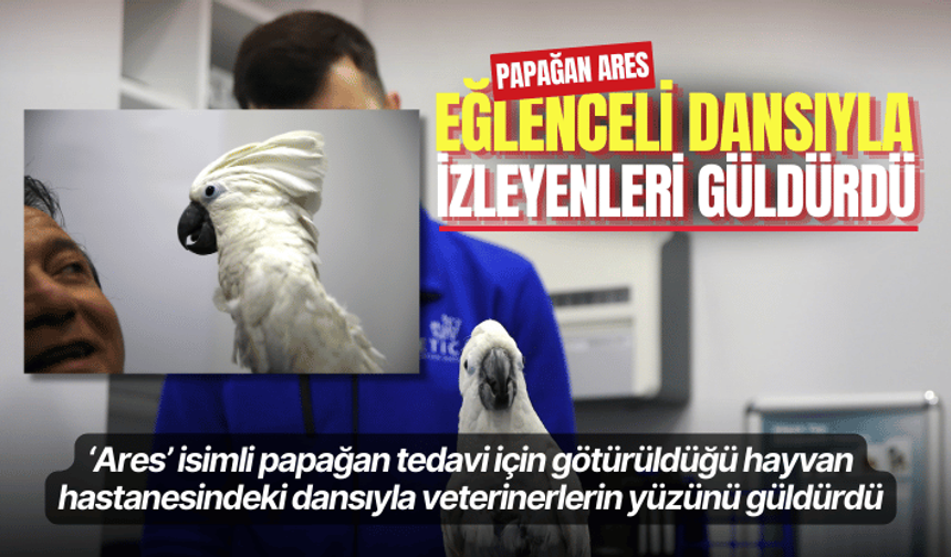 Papağan Ares eğlenceli dansıyla izleyenleri güldürdü