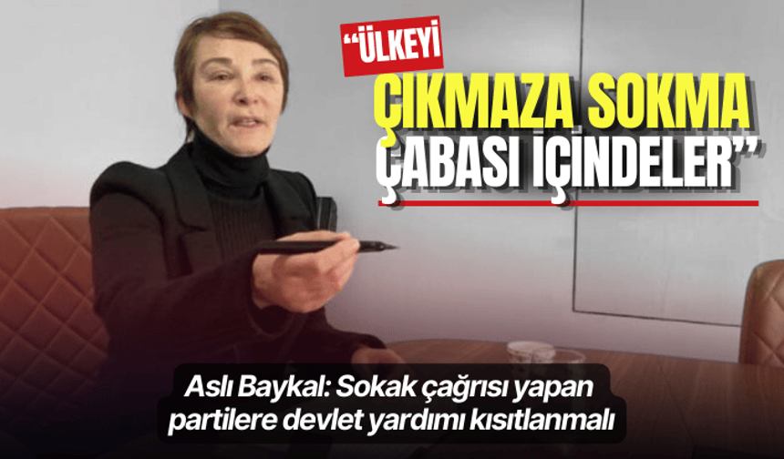 Aslı Baykal: Sokak çağrısı yapan partilere devlet yardımı kısıtlanmalı