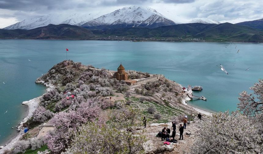 Yılın bu ayında Van Gölü ve gökyüzünün maviliğiyle bütünleşen ada yarın başlayacak olan "3. Badem Çiçeği Festivali"ne ev sahipliği yapmaya hazırlanıyor.