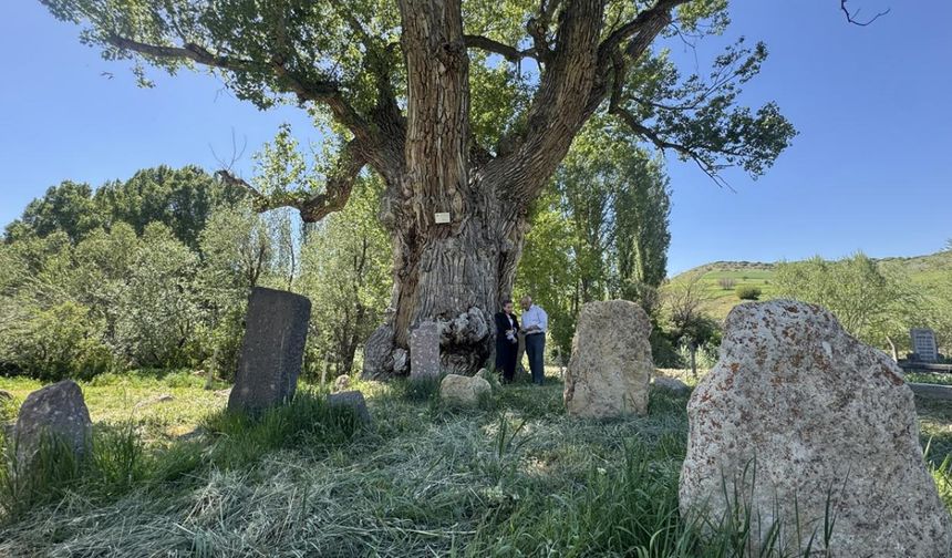 Kayseri'nin Develi ilçesine 43 kilometre uzaklıktaki Çataloluk Mahallesi'nde Zamantı Irmağı'nın kolu İkizler Çayı'nın hemen yanındaki mezarlık, Türk boylarının yanı sıra Osmanlı dönemi bezemeli mezar taşlarına da ev sahipliği yapıyor.