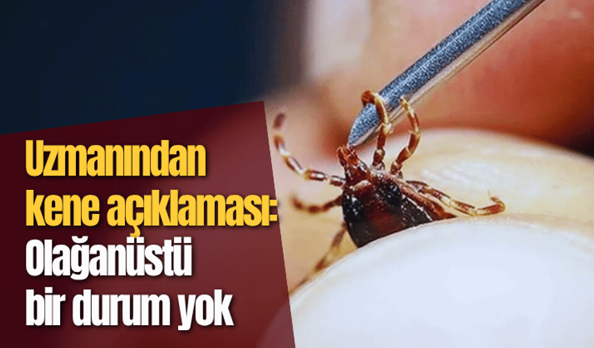 Uzmanından kene açıklaması: Olağanüstü bir durum yok