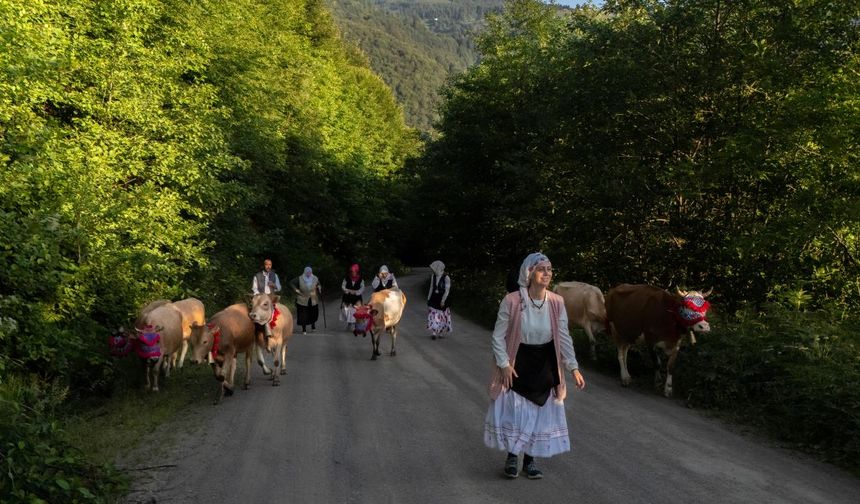 Zorlu coğrafyada kilometrelerce yol kat eden yaylacılar, yürüyüş sırasında hayvanlarını belirli aralıklarla dinlendiriyor. 