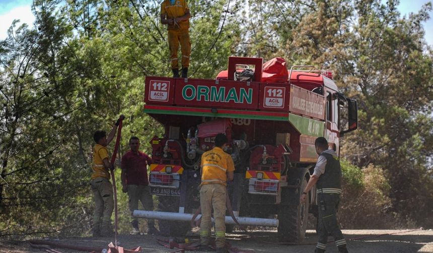 Bu sabah 4 uçak, 14 helikopter, 106 arazöz ve hem orman işçileri hem de gönüllülerden oluşan 1000'in üzerinde kişi alevlerin daha fazla alana sıçramaması için çaba harcıyor.