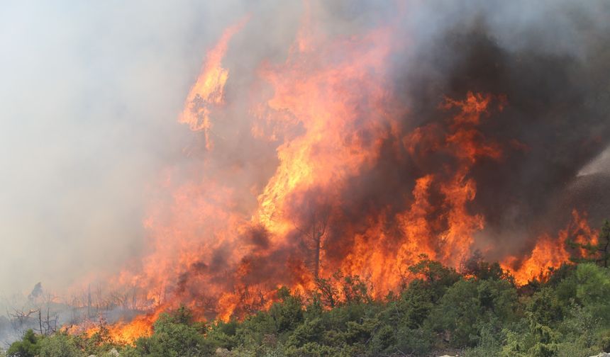Mersin'de ikinci orman yangını