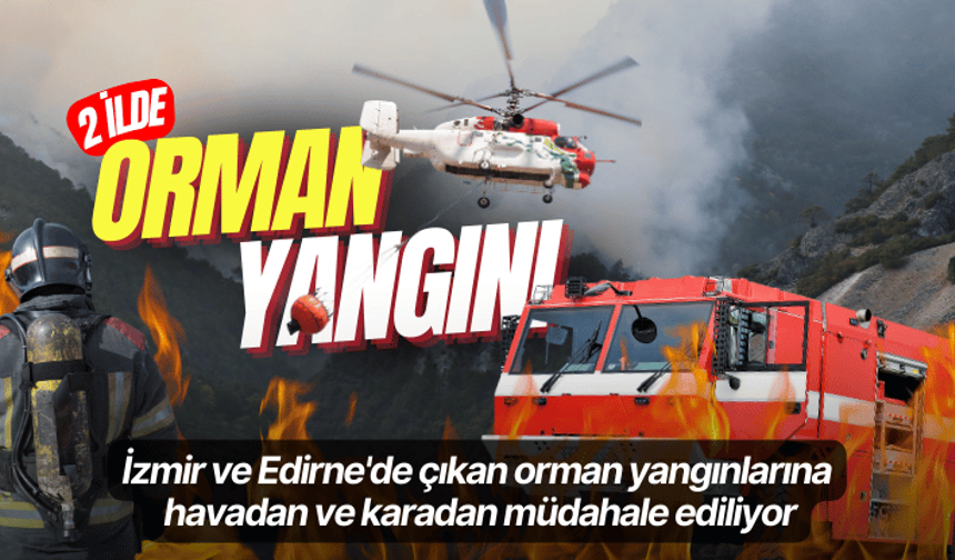 2 ilde orman yangını