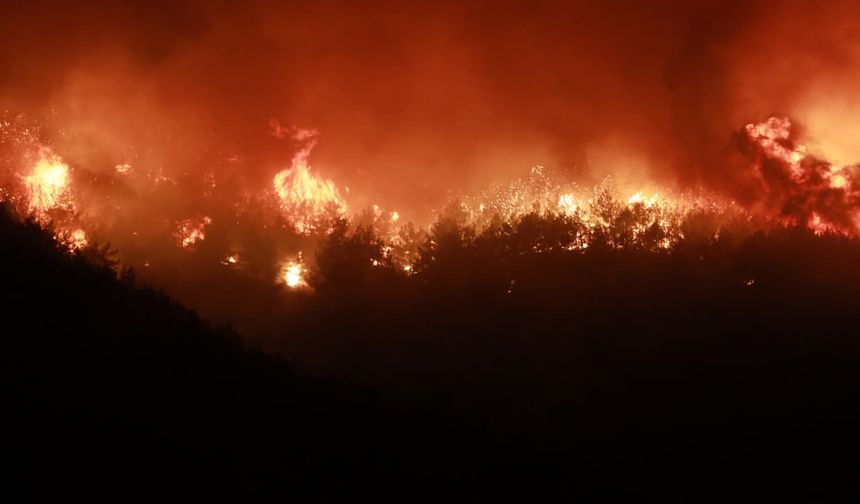 Hatay'da orman yangını