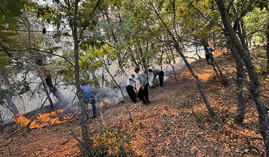 Adana’nın Feke ilçesinde orman yangını çıktı
