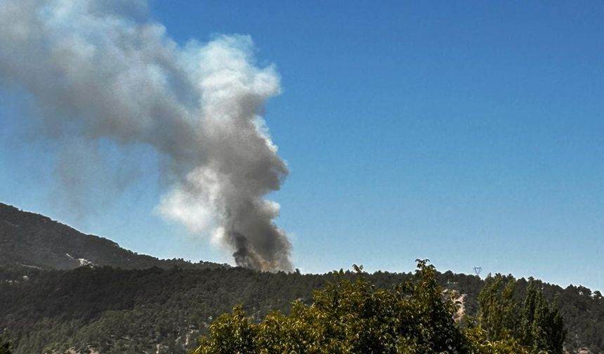 Alevler büyümeden söndürüldü: Denizli derin nefes aldı