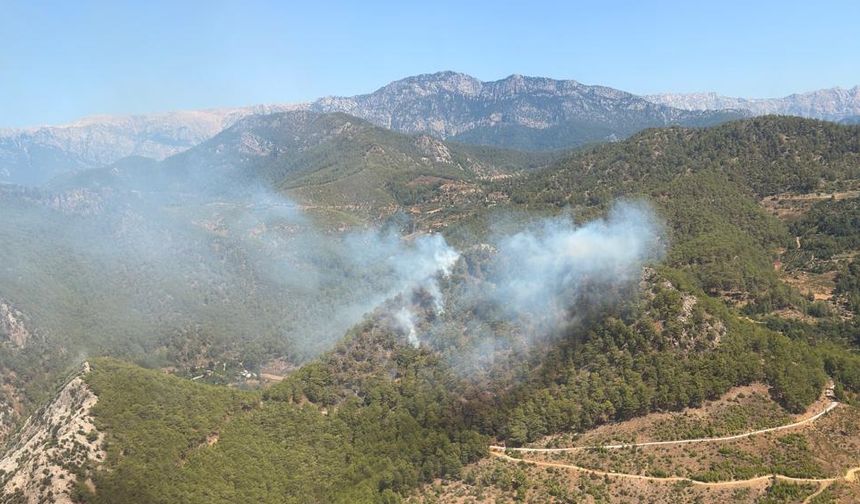 Mersin Anamur’da orman yangını çıktı