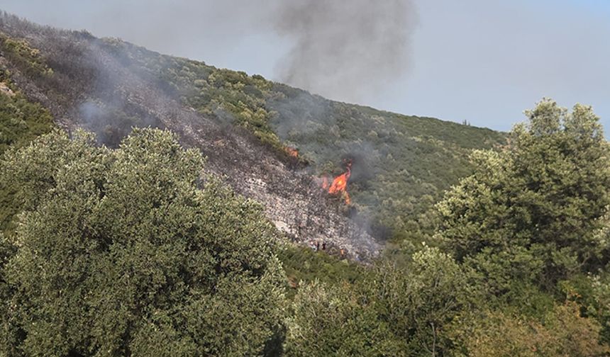 Bursa Orhangazi’deki orman yangını kontrol altına alındı