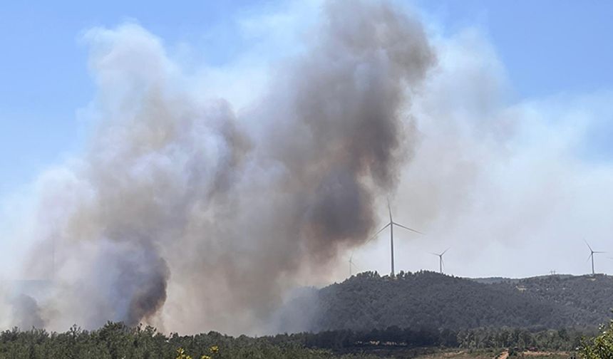 Çanakkale'de çıkan orman yangınına müdahale ediliyor