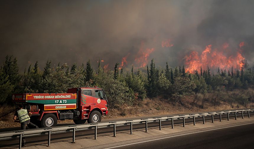 Çanakkale'deki orman yangınlarında mahsur kalan 348 kişiyi Sahil Güvenlik kurtardı