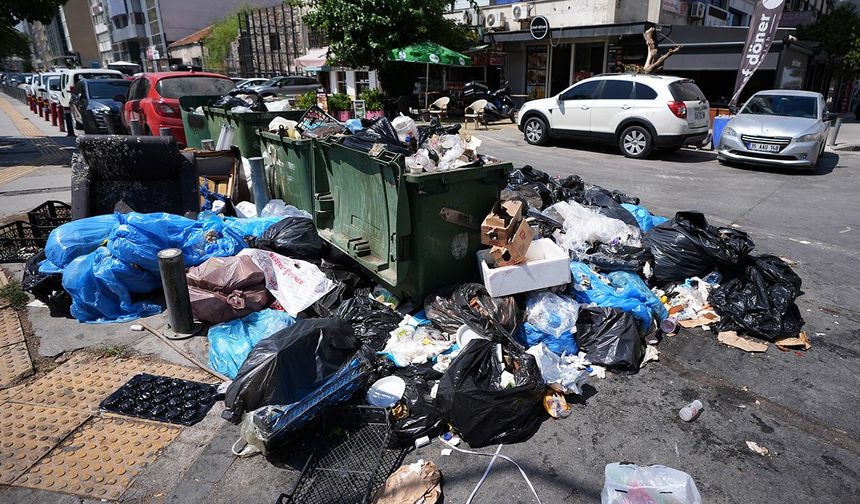 Çöpe dönen İzmir'de halk isyanda: Sinekler, böcekler, fareler cirit atıyor