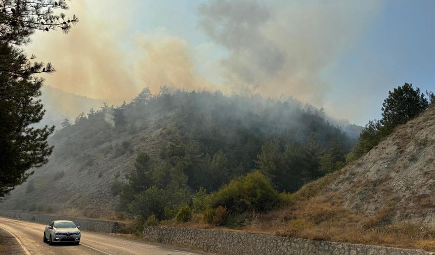 Karabük'te orman yangını