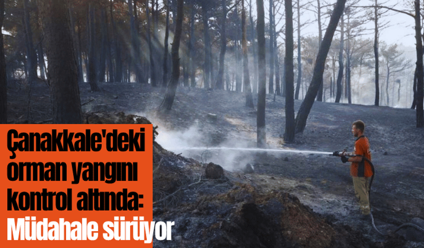 Çanakkale'deki yangın büyük oranda kontrol altında: Müdahale sürüyor
