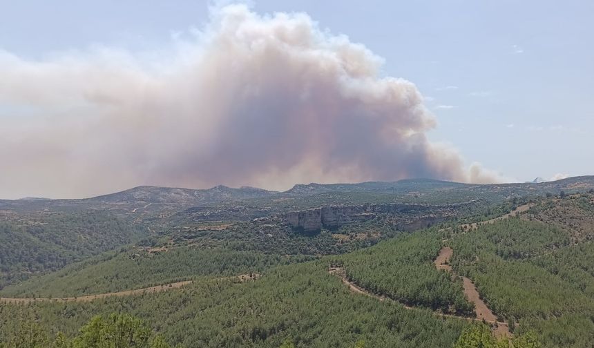 Mersin Silifke’de ormanlık alanda yangın çıktı