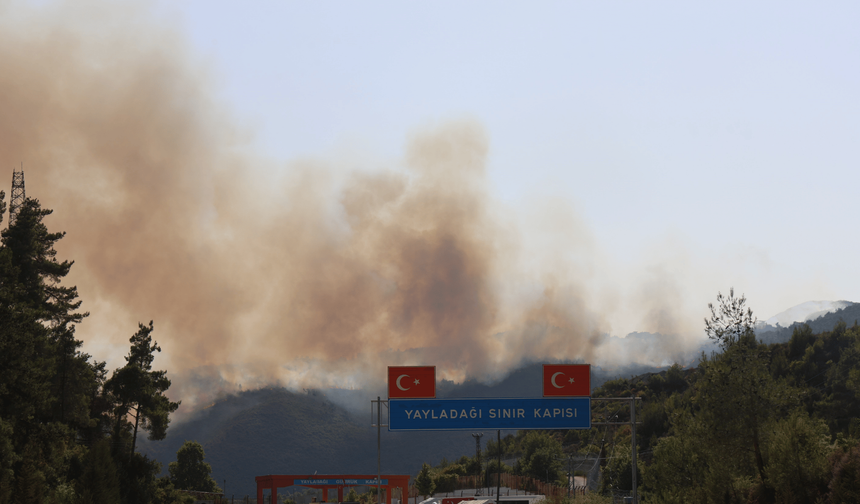 Suriye’deki orman yangını Türkiye’ye sıçradı
