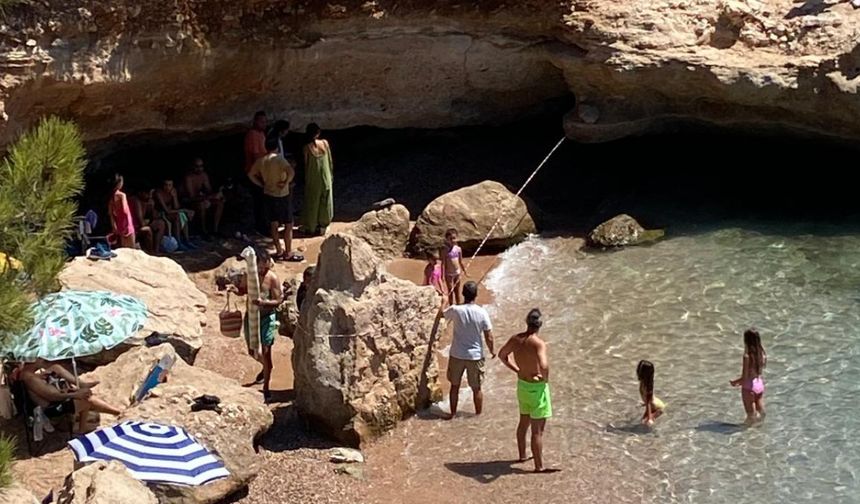 Datça'da sahilde dinlenen fok için bölgeye güvenlik şeridi çekildi