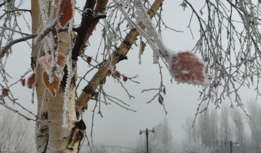 Ardahan buz kesti! Termometreler eksi 14,6’yı gösterdi