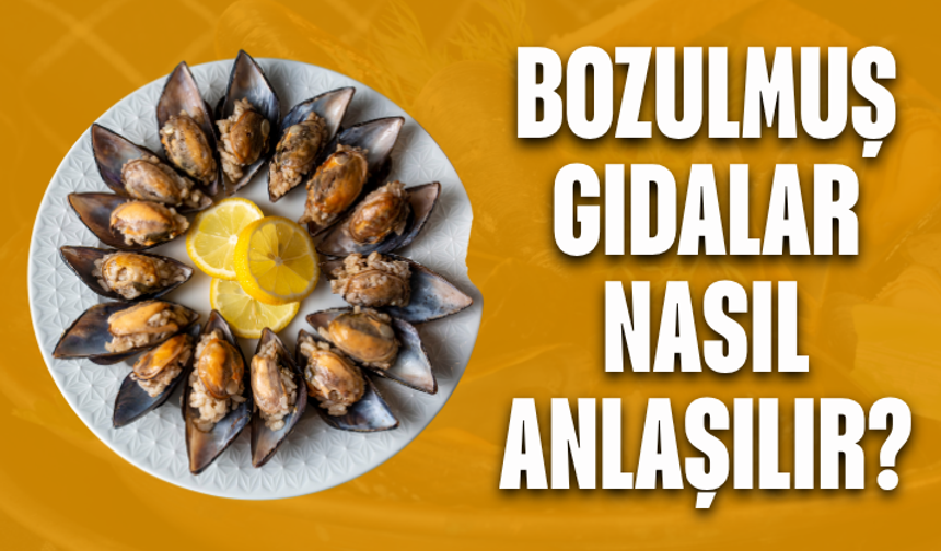 Bozulmuş gıdalar nasıl anlaşılır? Uzmanlardan ‘sokak lezzetleri’ uyarısı