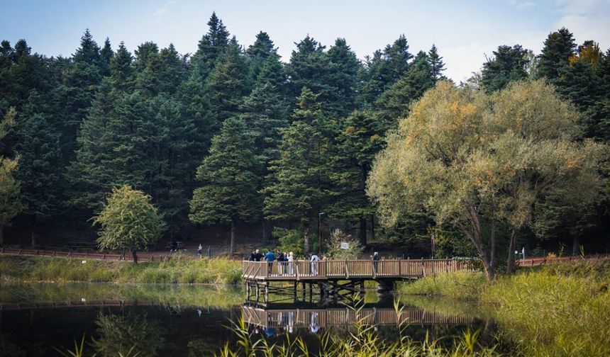 Gölcük Tabiat Parkı'nda sonbahar manzarası hayran bıraktı