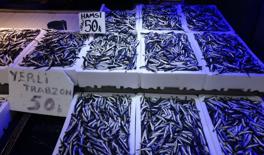 Trabzonlular hamsiye doydu