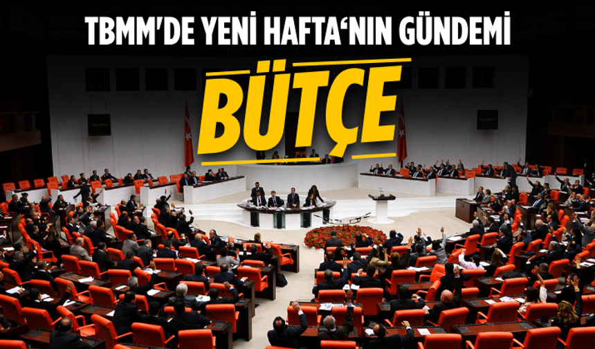 TBMM'de yeni haftada bütçe maratonu devam edecek