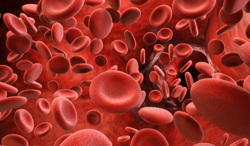 Araştırma: Trombositler dondurularak iki yıla kadar saklanabilir