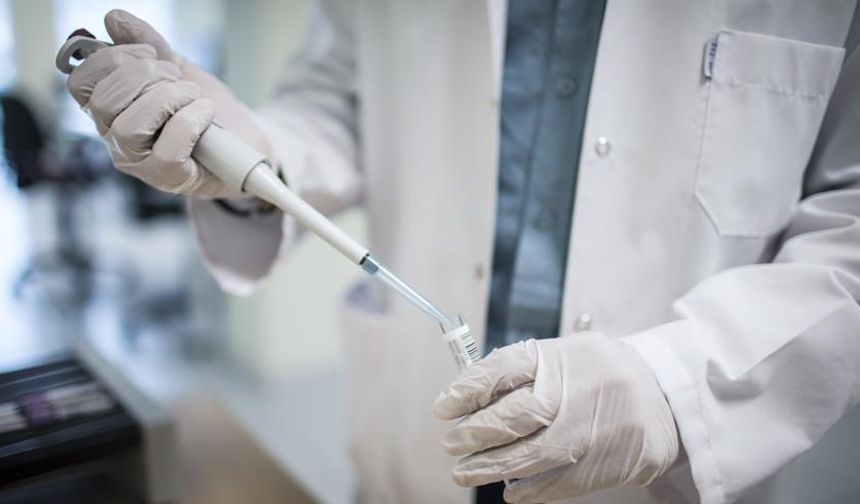 Kanser tedavisinde umut veren gelişme! Farelerde tümör yok edildi...