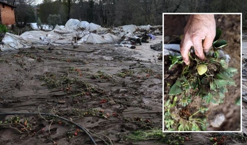 1 saatte 5 milyon TL’lik zarar! Son 40 yılın en büyük su taşkını çiftçiyi vurdu...