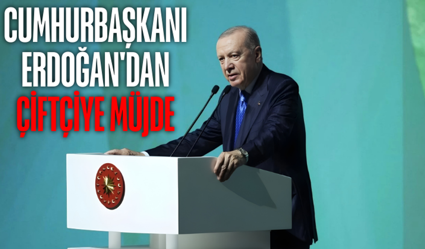 Cumhurbaşkanı Erdoğan konuşuyor